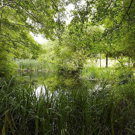 Villa Un petit coin de campagne, dans le pays de Saint-Gilles Extérieur photo