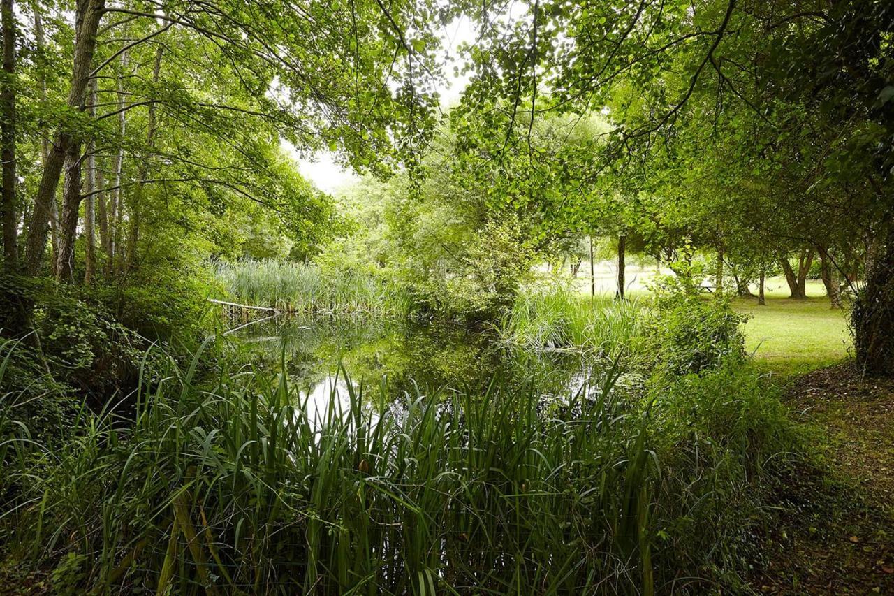 Villa Un petit coin de campagne, dans le pays de Saint-Gilles Extérieur photo